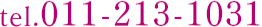 0112131031